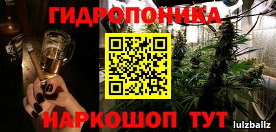 стаф Гусь-Хрустальный