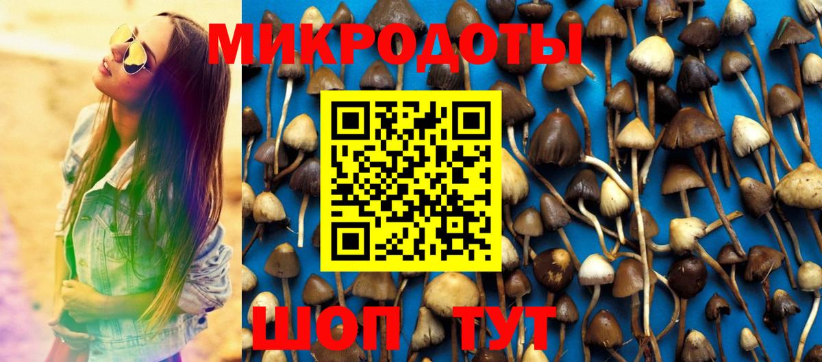 Псилоцибиновые грибы мицелий Королёв